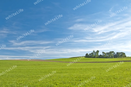 Gr?nes Land mit blauem Himmel