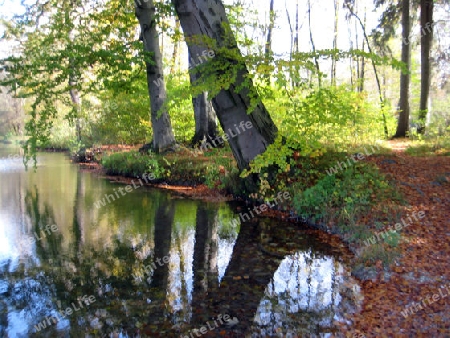 Herbst in Englischer Garten