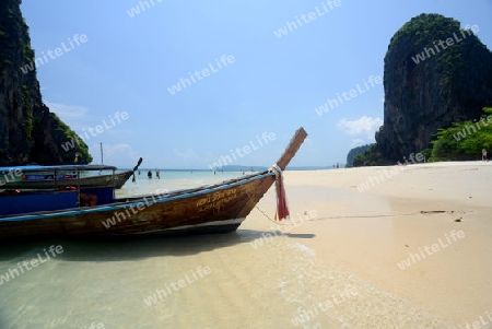 The Hat Phra Nang Beach at Railay near Ao Nang outside of the City of Krabi on the Andaman Sea in the south of Thailand. 