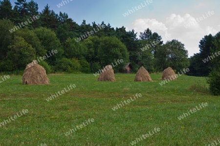 Heureiter - Traditionelle Landwirtschaft