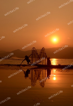 Fishermen at sunrise in the Landscape on the Inle Lake in the Shan State in the east of Myanmar in Southeastasia.