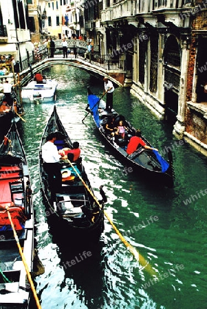 venedig