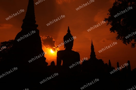 Eine Buddha Figur  im Wat Mahathat Tempel in der Tempelanlage von Alt-Sukhothai in der Provinz Sukhothai im Norden von Thailand in Suedostasien.