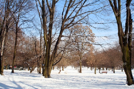 Winterlandschaft