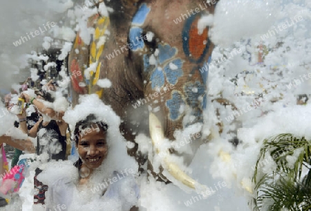 Das Songkran Fest oder Wasserfest zum Thailaendischen Neujahr ist im vollem Gange in Ayutthaya noerdlich von Bangkok in Thailand in Suedostasien.  