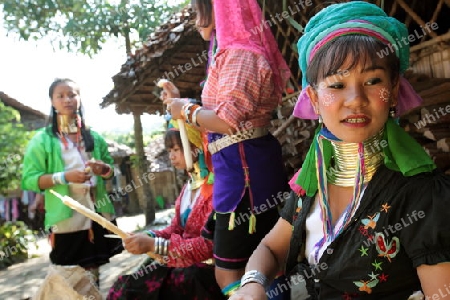 Eine Traditionell gekleidete Langhals Frau eines Paudang Stammes aus Burma lebt in einem Dorf noerdlich von Chiang Mai in Nord Thailand. 