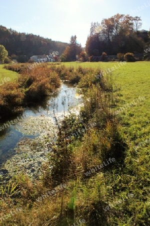 Bachlauf im Gegenlicht