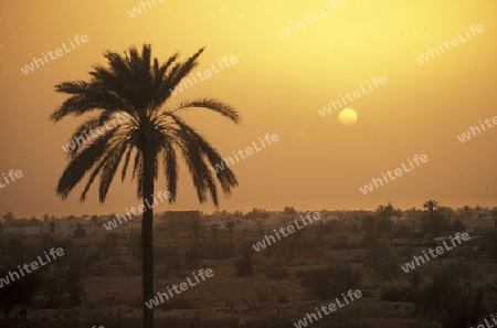 Afrika, Tunesien, Jerba
Ein Sonnenuntergang auf der Insel Jerba im sueden von Tunesien. (URS FLUEELER)






