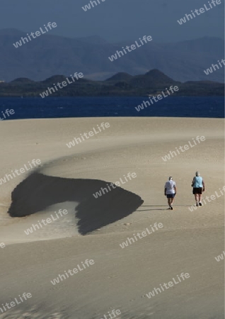 the Sanddunes of Corralejo in the north of the Island Fuerteventura on the Canary island of Spain in the Atlantic Ocean.