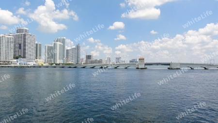 Skyline Miami