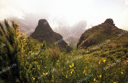 Europa, Atlantischer Ozean, Portugal, Insel, Madeira, Serra de Agua, Landschaft,
 Bergen der Serra de Agua im Zentrum der Insel Madeira im Atlantischen Ozean, Portugal, 