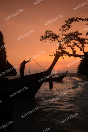 The Hat Phra Nang Beach at Railay near Ao Nang outside of the City of Krabi on the Andaman Sea in the south of Thailand. 