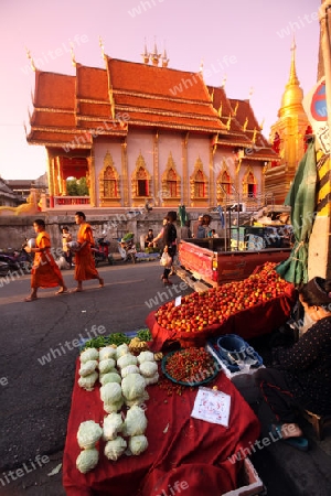 Der Markt vor dem Wat Mung Muang am Morgen in der Altstadt von Chiang Rai in der Provinz chiang Rai im Norden von Thailand in Suedostasien.