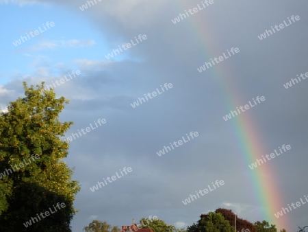 hinterm Regenbogen