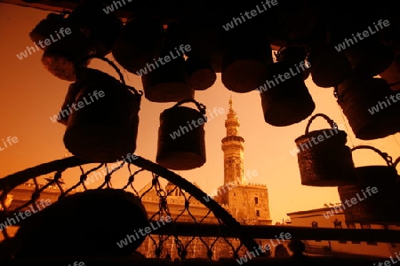 Asien, Naher Osten, Syrien, Damaskus,   Der Innenhof der  Omaijad Moschee im Souq und Altstadt von Damaskus in der Hauptstadt von Syrien. 