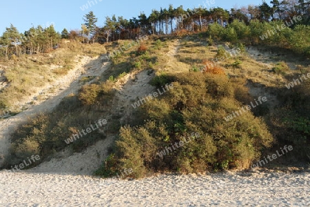 Herbst im Nationalpark Wolin