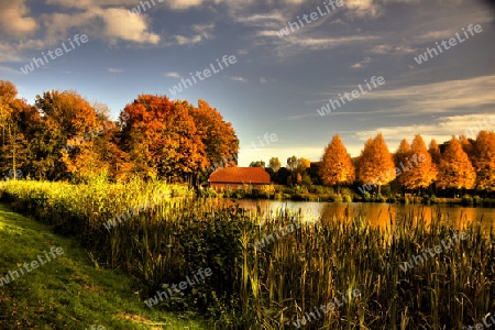 Goldener Oktober