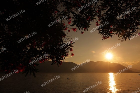 the Landscape of the Lago maggiorein the old town of Pallanza near to Verbania on the Lago maggiore in the Lombardia  in north Italy. 