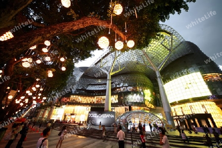 Asien, Suedost, Singapur, Insel, Staat, Stadt, City, Orchard Road, Einkaufsstrasse, Shopping, Alltag, Wirtschaft, Zentrum,  Nacht,  Centre, Einkaufszentrum, Shoppingcentre,  Architektur, Modern, ION, 