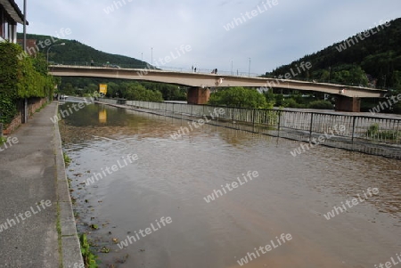 Hochwasser Rhein-Neckar