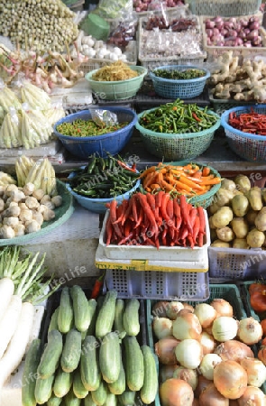 Frisches Gemuese auf einem Markt in der Hauptstadt Bangkok von Thailand in Suedostasien.