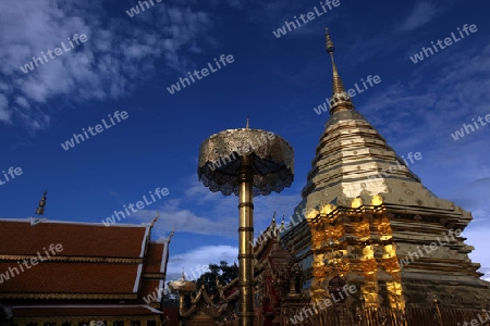 Der Chedi der Tempel Anlage des Wat Phra That Doi Suthep bei Chiang Mai in der Provinz Chiang Mai im Norden von Thailand in Suedostasien.