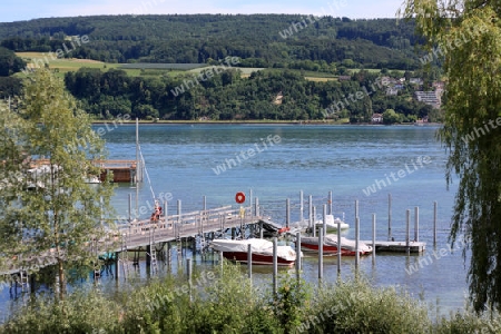 Landschaft mit Feldern und Baeumen und Blick auf den Bodensee