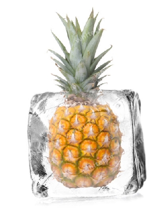 Ananas im Eisw?rfel