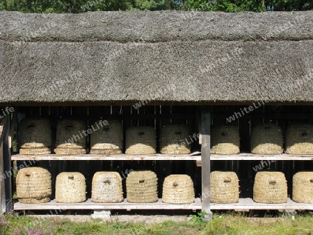 L?neburger Heide, Bienenst?cke in der Heide