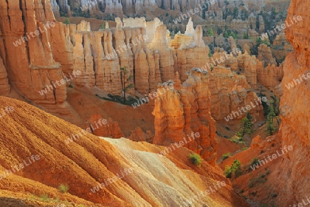 Felsformationen und Hoodoos waehrend Sonnenaufgang, Sunrise Point, Bryce Canyon Nationalpark, Utah, Suedwesten USA