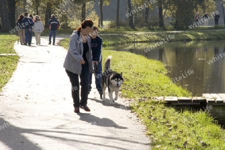 Familienbewegung