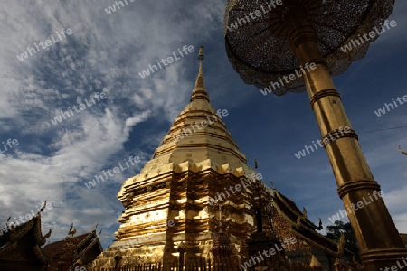 Der Chedi der Tempel Anlage des Wat Phra That Doi Suthep bei Chiang Mai in der Provinz Chiang Mai im Norden von Thailand in Suedostasien.