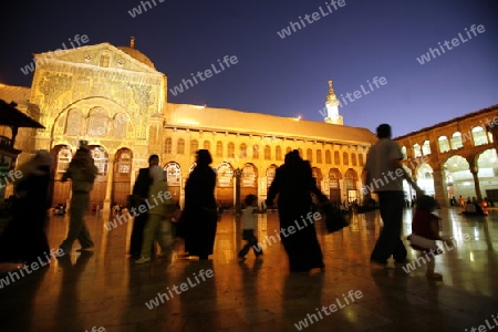 Asien, Naher Osten, Syrien, Damaskus,   Der Innenhof der  Omaijad Moschee im Souq und Altstadt von Damaskus in der Hauptstadt von Syrien. 