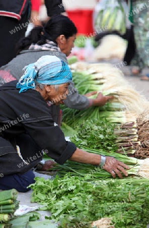 Der Markt im Bergdorf Mae Salong in der Huegellandschaft noerdlich von Chiang Rai in der Provinz Chiang Rai im Norden von Thailand in Suedostasien.