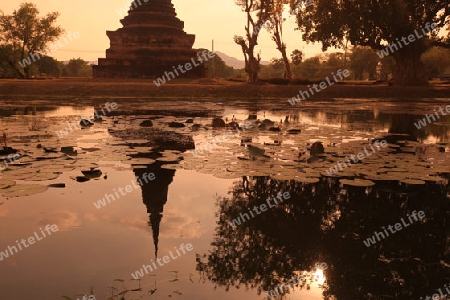 Ein Chedi beim Wat Mahathat Tempel in der Tempelanlage von Alt-Sukhothai in der Provinz Sukhothai im Norden von Thailand in Suedostasien.