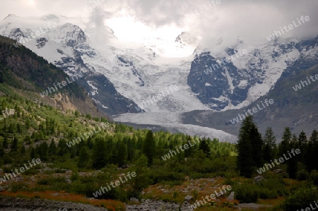 Gletscher Pontresina