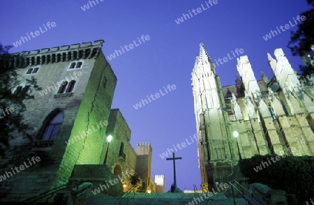 Die Kathedrale La Seu in der Hauptstadt Palma de Mallorca auf der Insel Mallorca im Mittelmeer in Spanien.