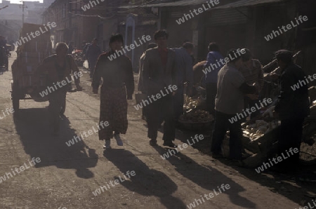 the old town in the city of beijing in the east of china in east asia. 