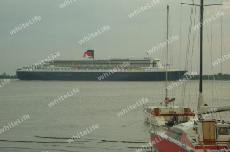 Die Cunard auf der Elbe