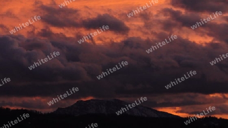 ?tscher im Sonnenuntergang