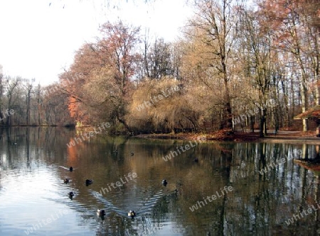 Herbst am See