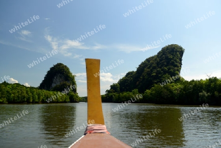 The mangroves at a lagoon near the City of Krabi on the Andaman Sea in the south of Thailand. 