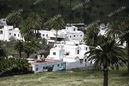 a traditional withe House on the Island of Lanzarote on the Canary Islands of Spain in the Atlantic Ocean.
