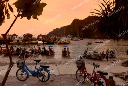 A Beach in the Town of Ko PhiPhi on Ko Phi Phi Island outside of  the City of Krabi on the Andaman Sea in the south of Thailand. 