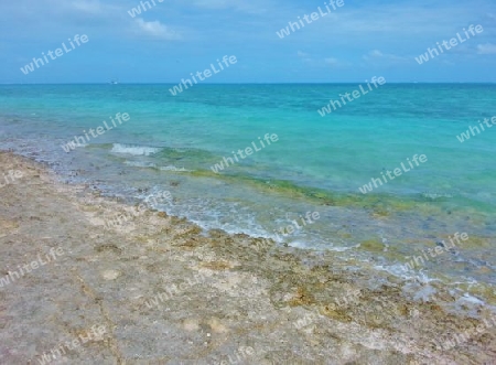 The great barrier Reef