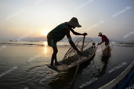 Fishermen at sunrise in the Landscape on the Inle Lake in the Shan State in the east of Myanmar in Southeastasia.