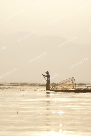 Fishermen at sunrise in the Landscape on the Inle Lake in the Shan State in the east of Myanmar in Southeastasia.