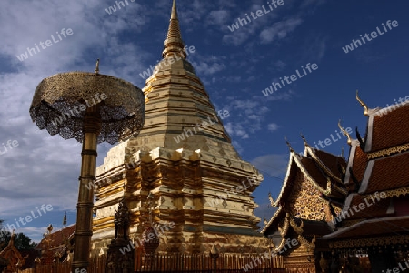 Der Chedi der Tempel Anlage des Wat Phra That Doi Suthep bei Chiang Mai in der Provinz Chiang Mai im Norden von Thailand in Suedostasien.