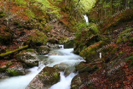 Wasserfall im Springwald