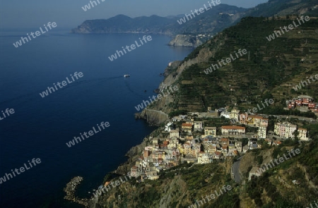 Cinque Terre